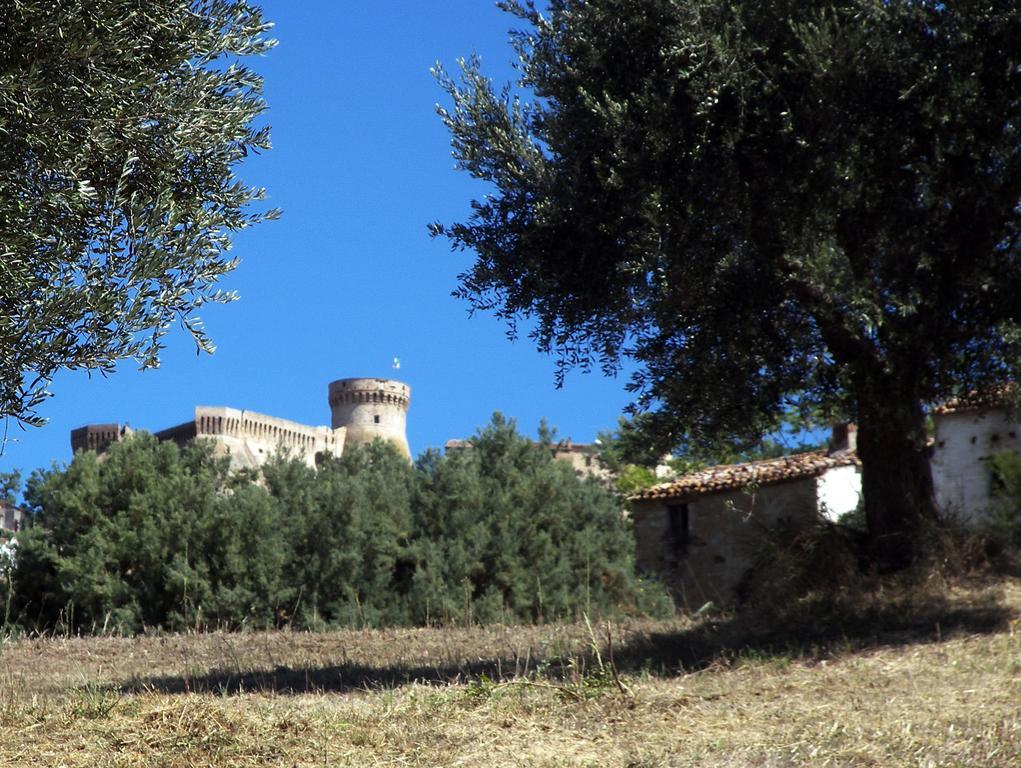 Agriturismo Aqua Viva Acquaviva Picena Extérieur photo