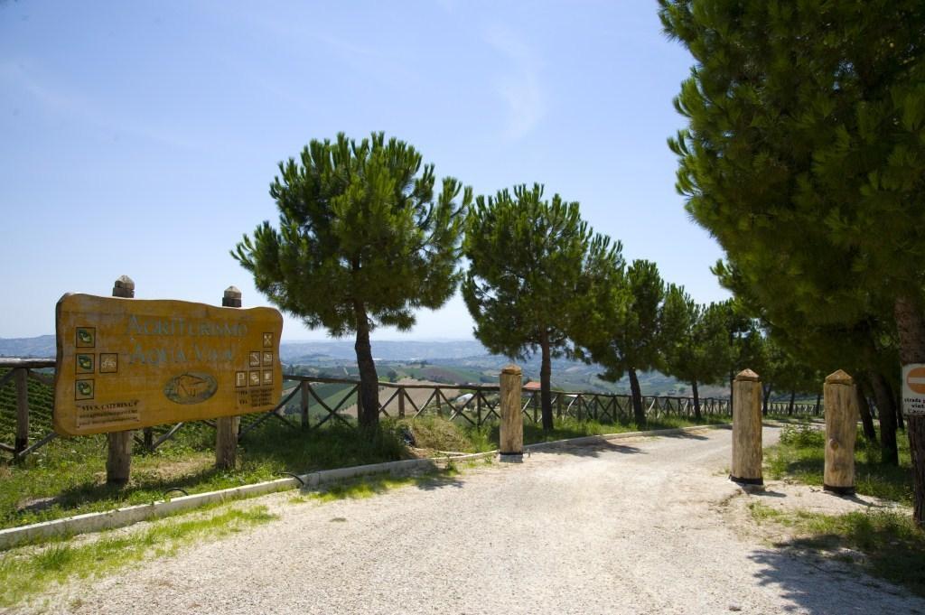 Agriturismo Aqua Viva Acquaviva Picena Extérieur photo